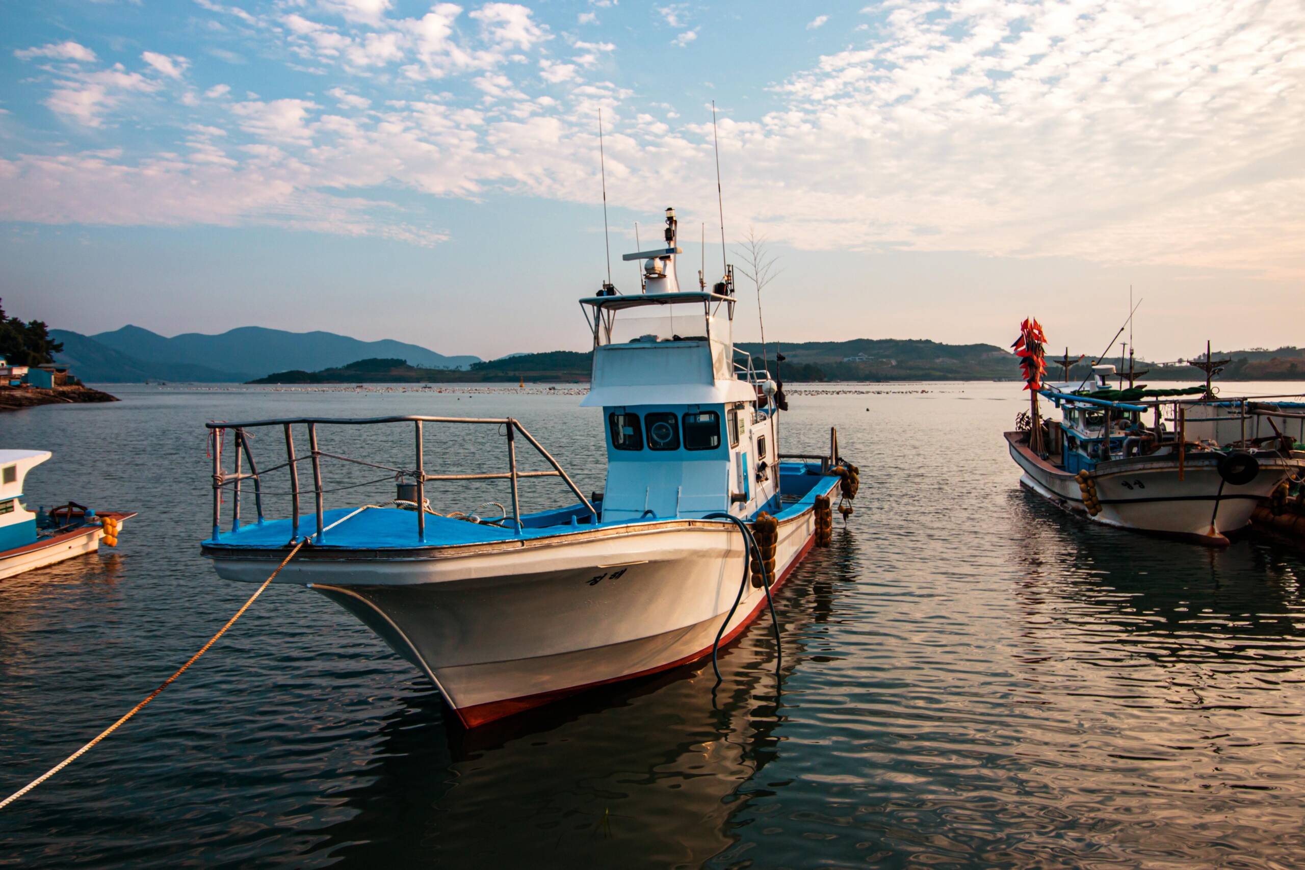 Fishing Trips (inshore & offshore)
